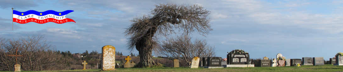 Old Willow Saulnierville Cemetery